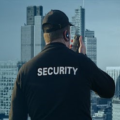 Expert Security Service